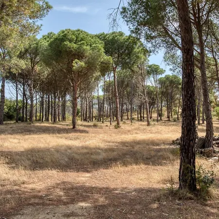 Masia 1391